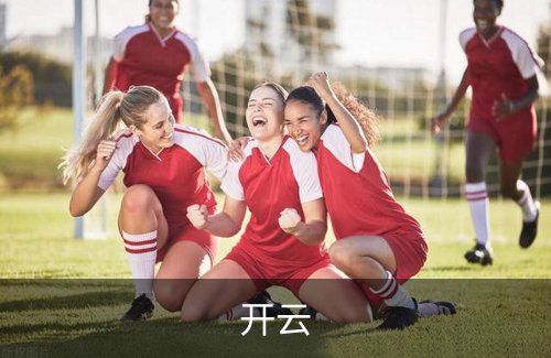 开云介绍