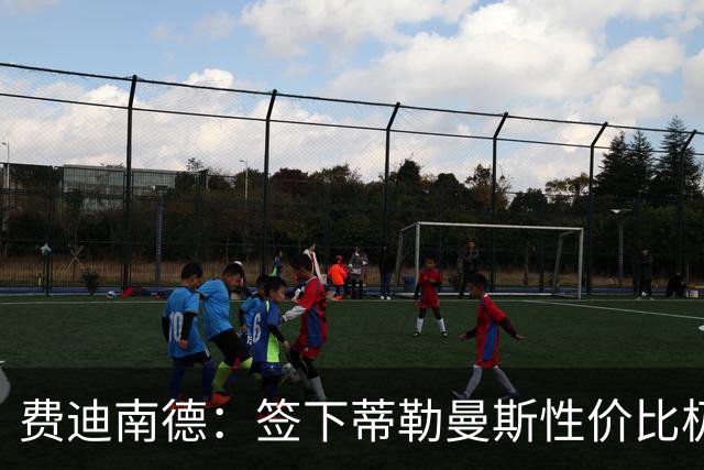 费迪南德：签下蒂勒曼斯性价比极高 桑托斯会成为球队关键一员