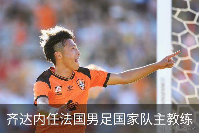 齐达内任法国男足国家队主教练
